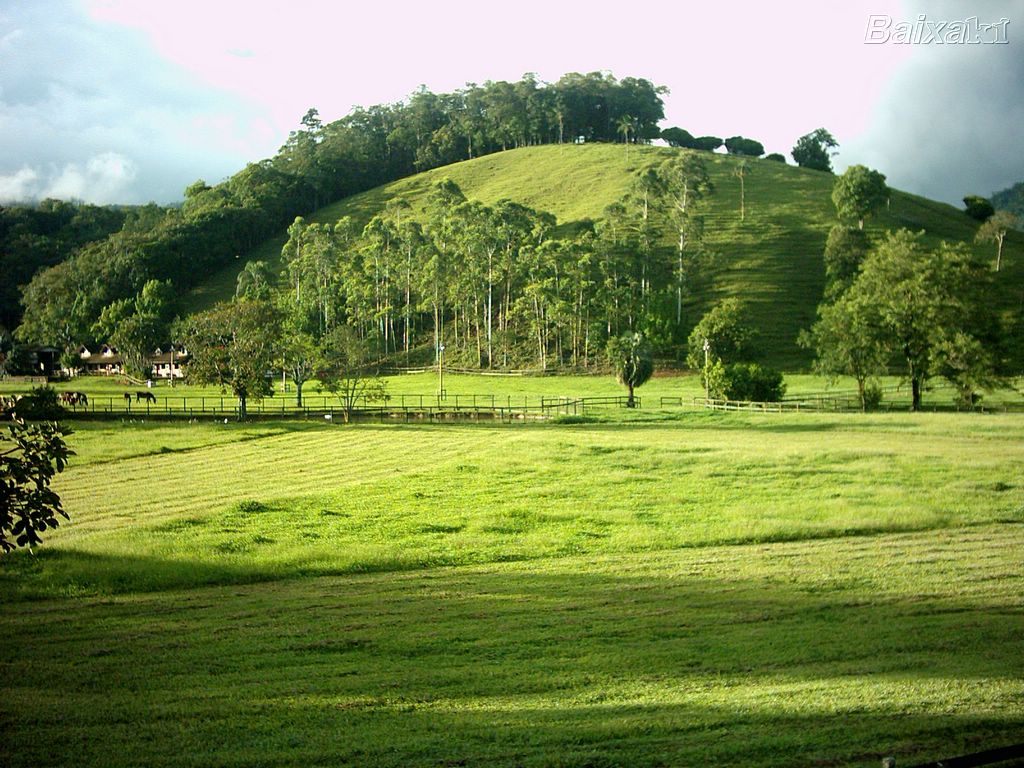 fotografia de uma paisagem