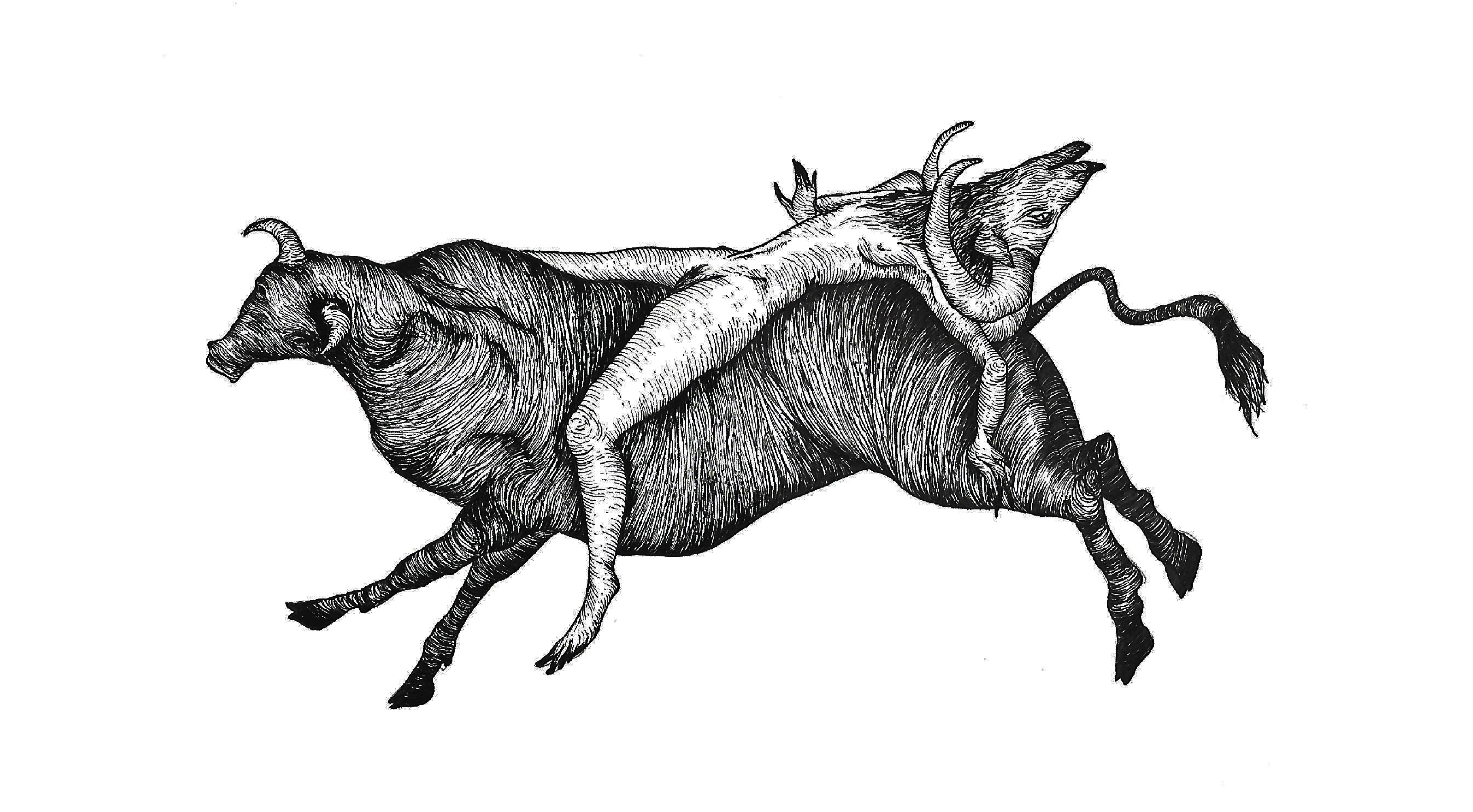 Taurus and the Moon